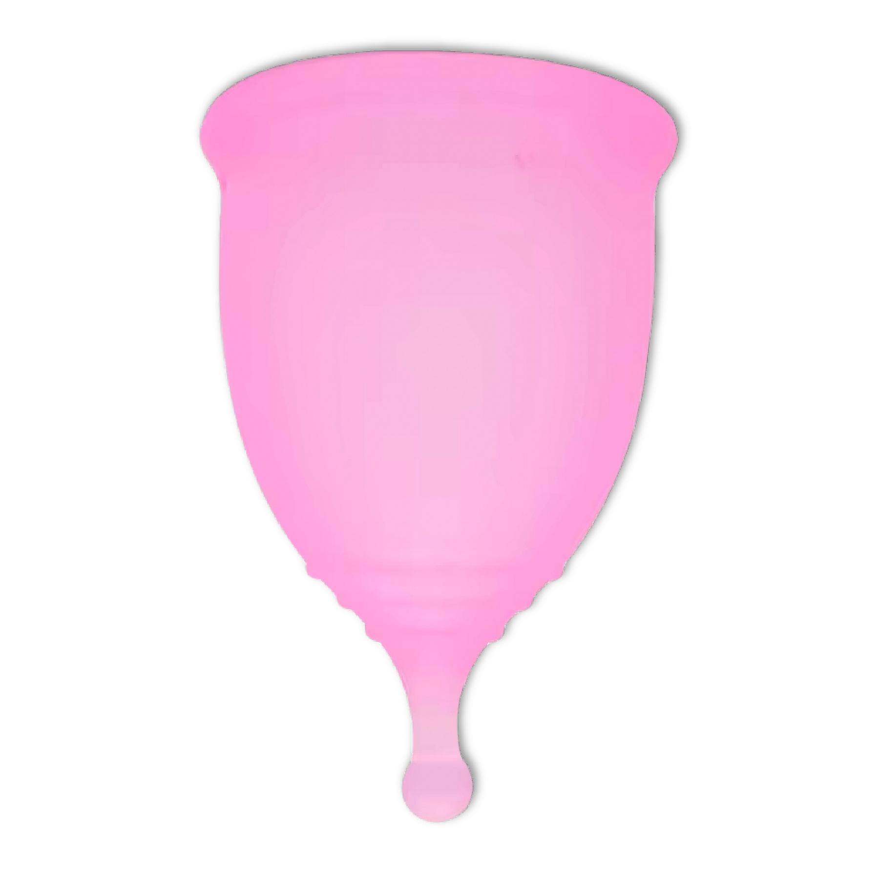 FLEX MENSTRUĀLĀ PILTUVĪTE