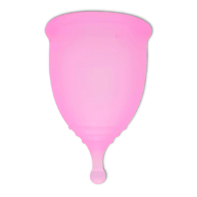 FLEX MENSTRUĀLĀ PILTUVĪTE